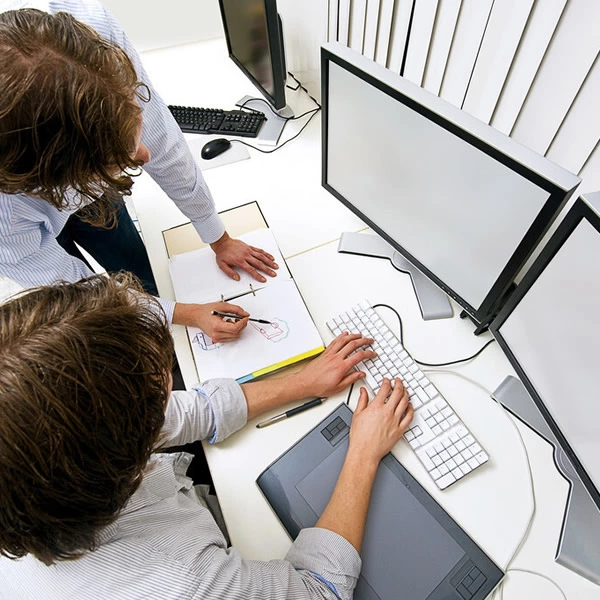Expert Consultation