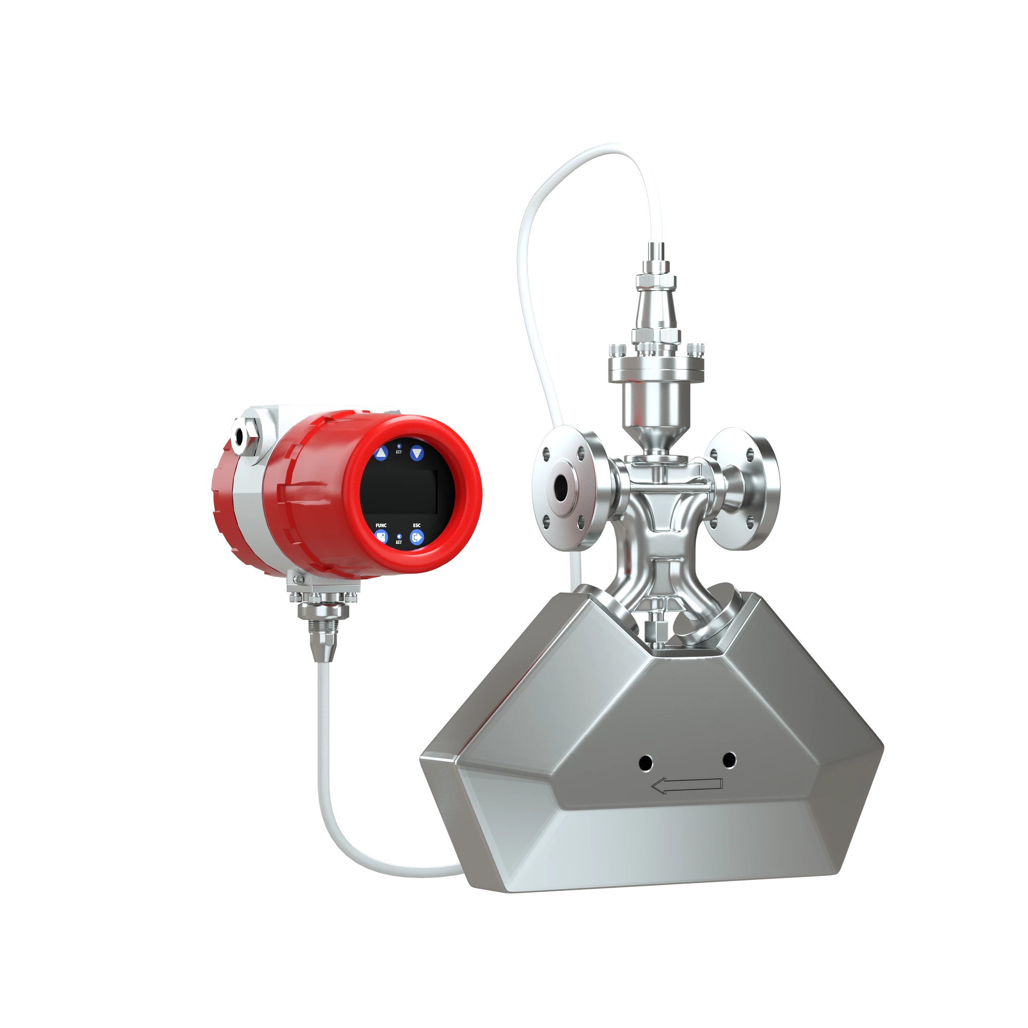 FCC-300 Coriolis Mass Flowmeter