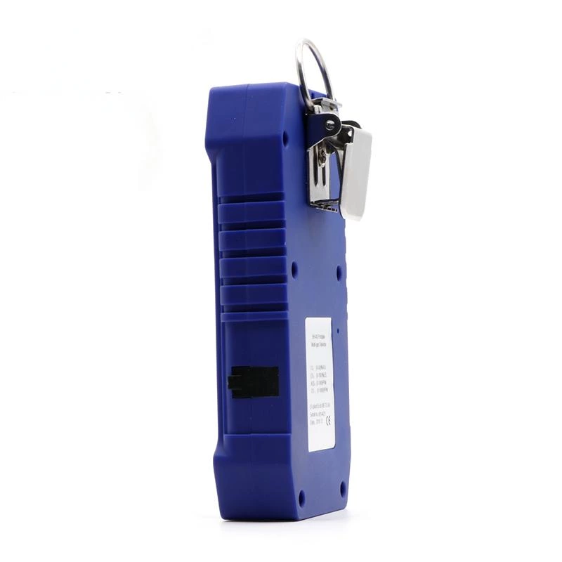 BH-4S Portable Multi-gas Detector