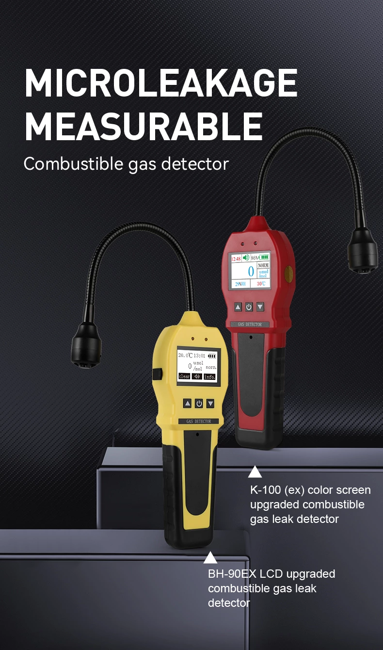 BH-90E Portable Gas Detector