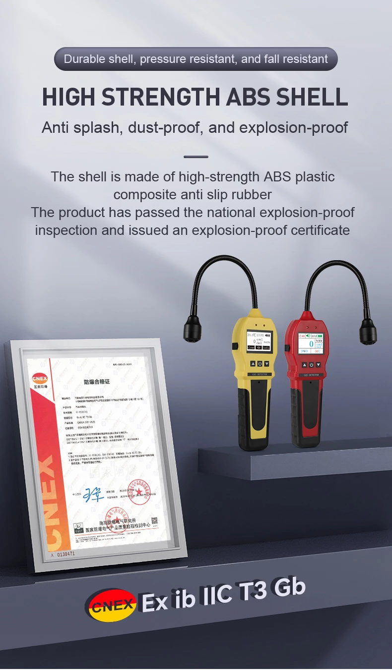 BH-90E Portable Gas Detector