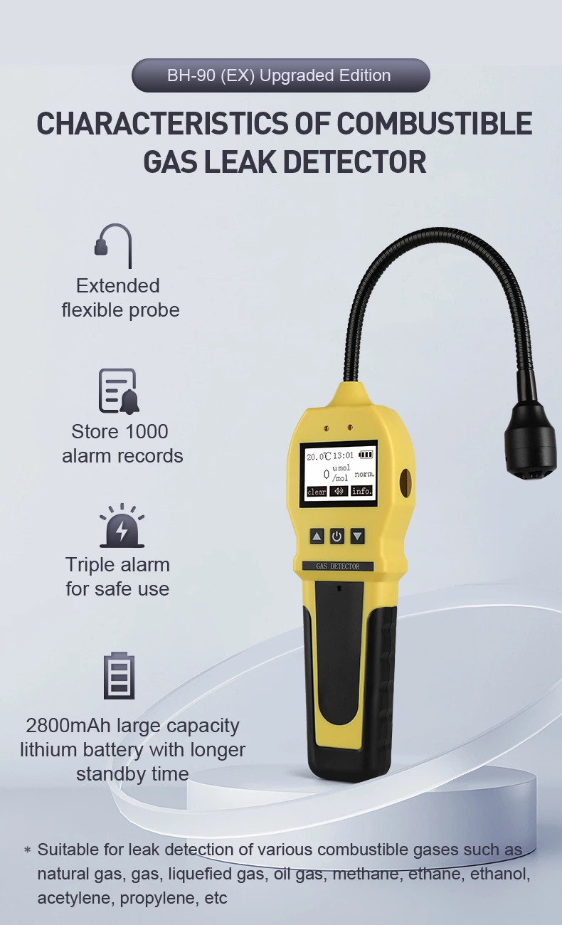 BH-90E Portable Gas Detector