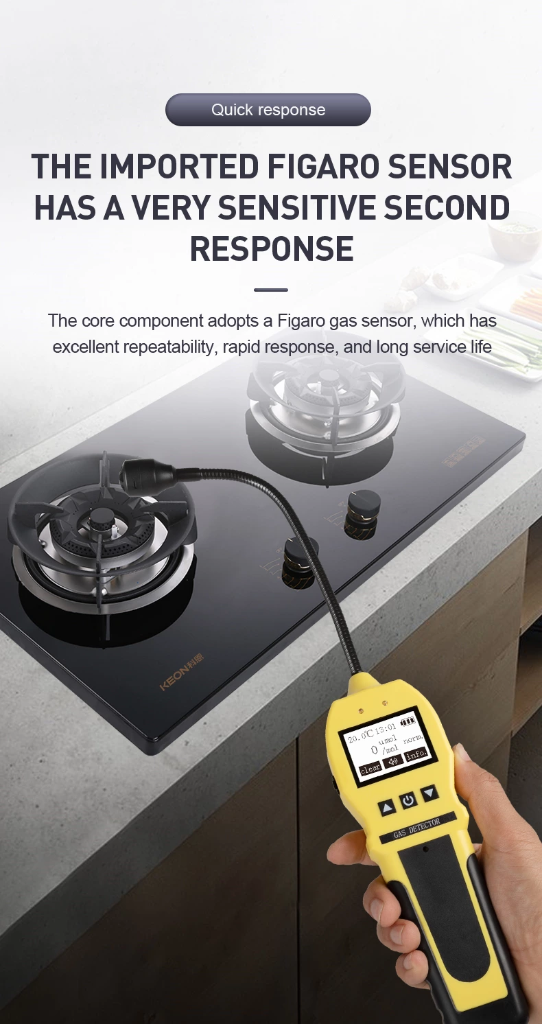 BH-90E Portable Gas Detector