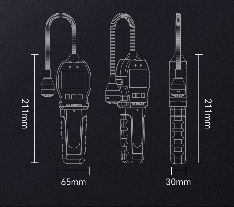 BH-90E Portable Gas Detector