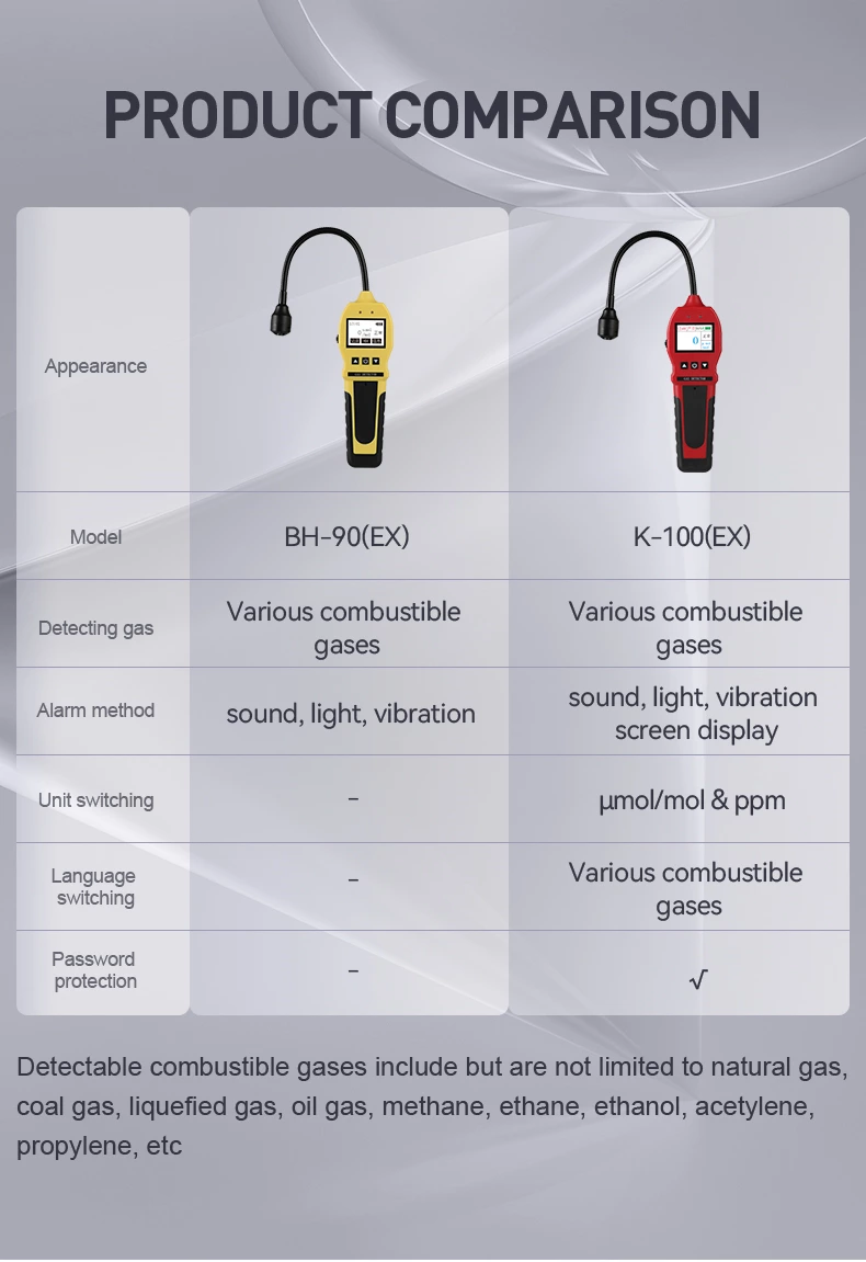 BH-90E Portable Gas Detector