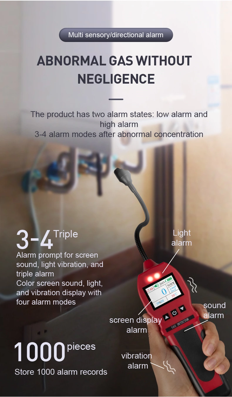 BH-90E Portable Gas Detector