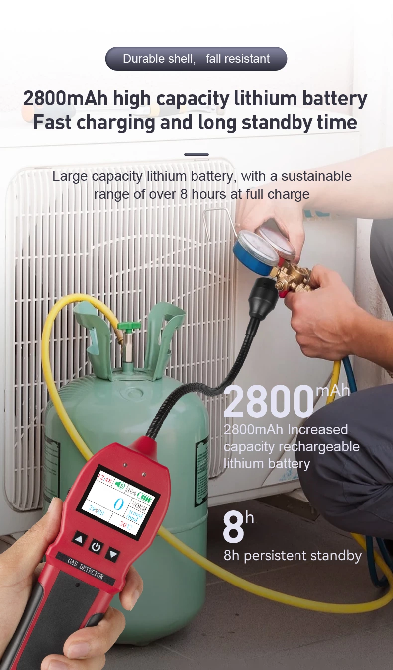BH-90E Portable Gas Detector