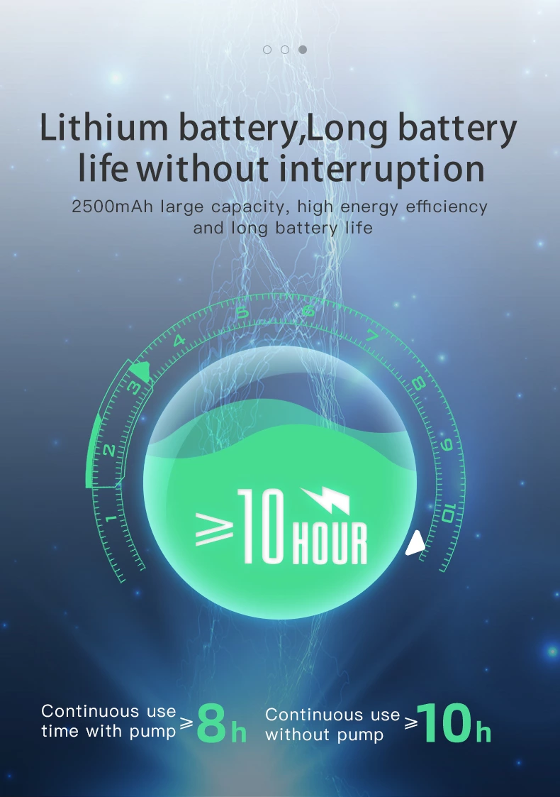 BH-4M Portable Multi-gas Detector