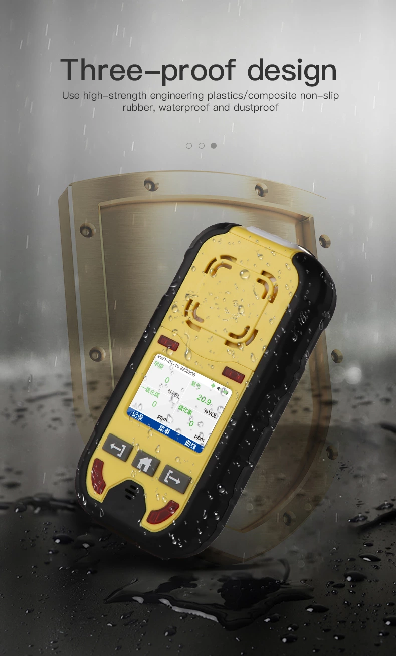 BH-4M Portable Multi-gas Detector