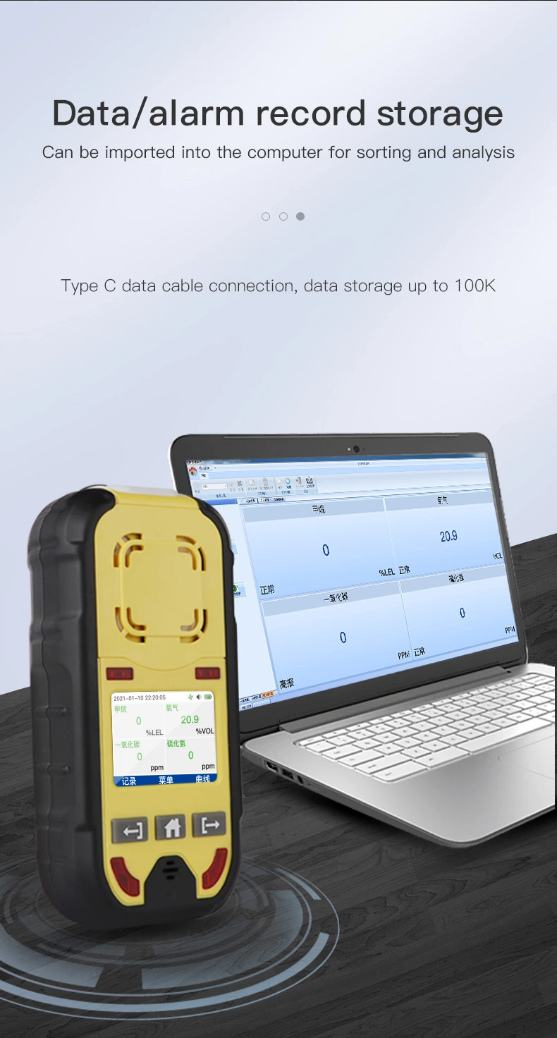 BH-4M Portable Multi-gas Detector