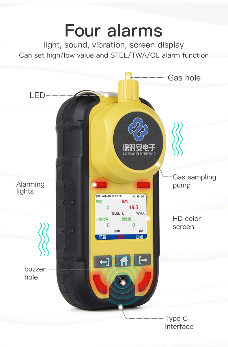 BH-4M Portable Multi-gas Detector
