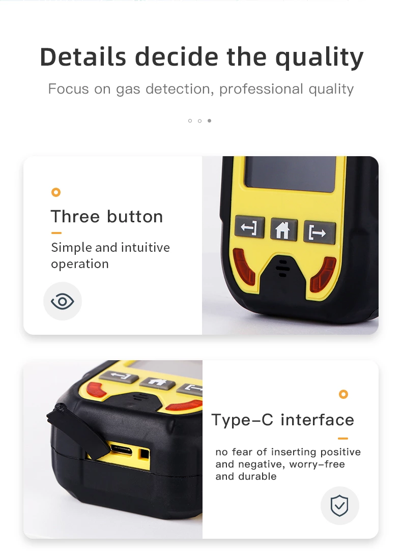 BH-4M Portable Multi-gas Detector