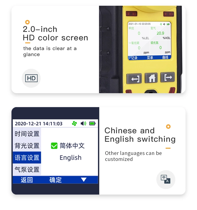 BH-4M Portable Multi-gas Detector
