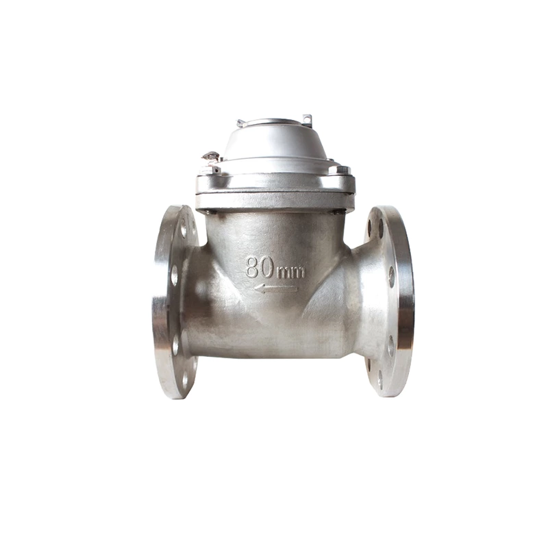 Stainless Steel Water Meter