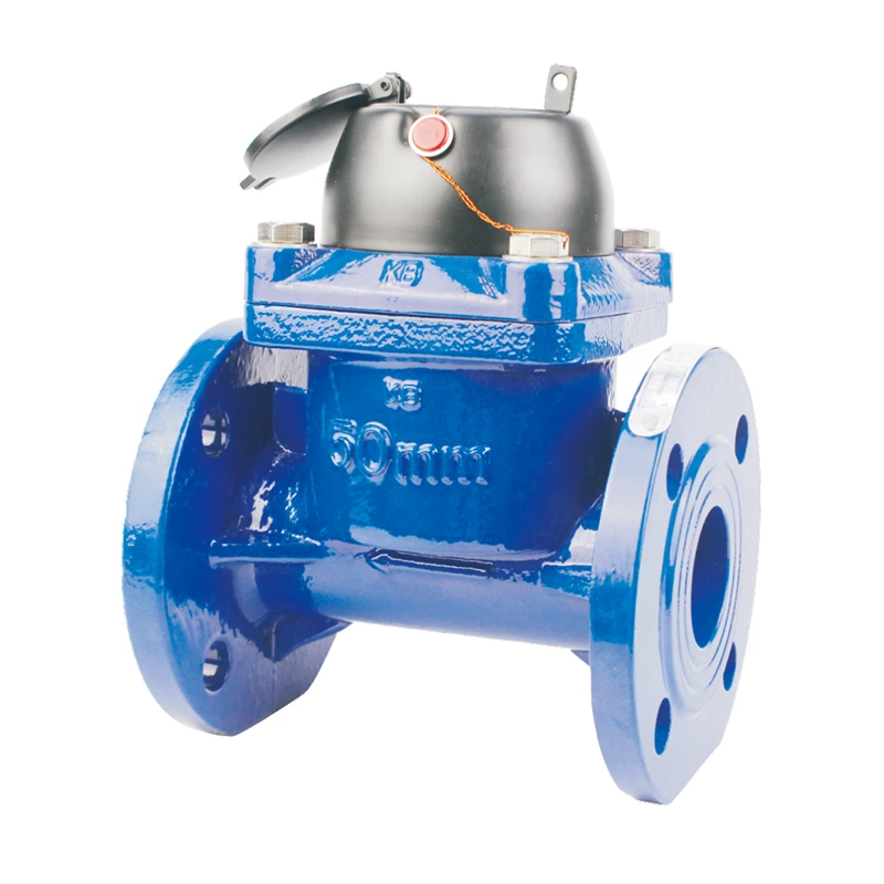 LXXG Irrigation Water Meter