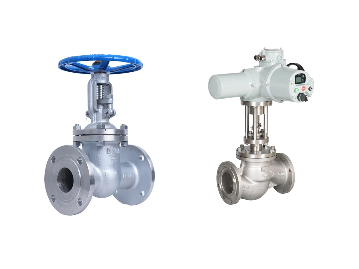 Globe Valve