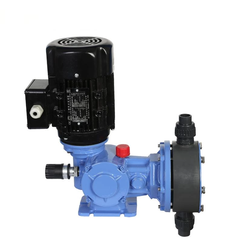 MS1 PLUNGER METERING PUMPS