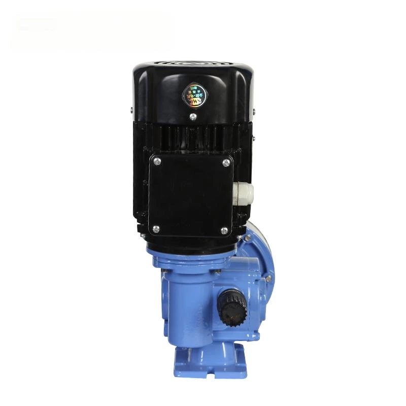 MS1 PLUNGER METERING PUMPS