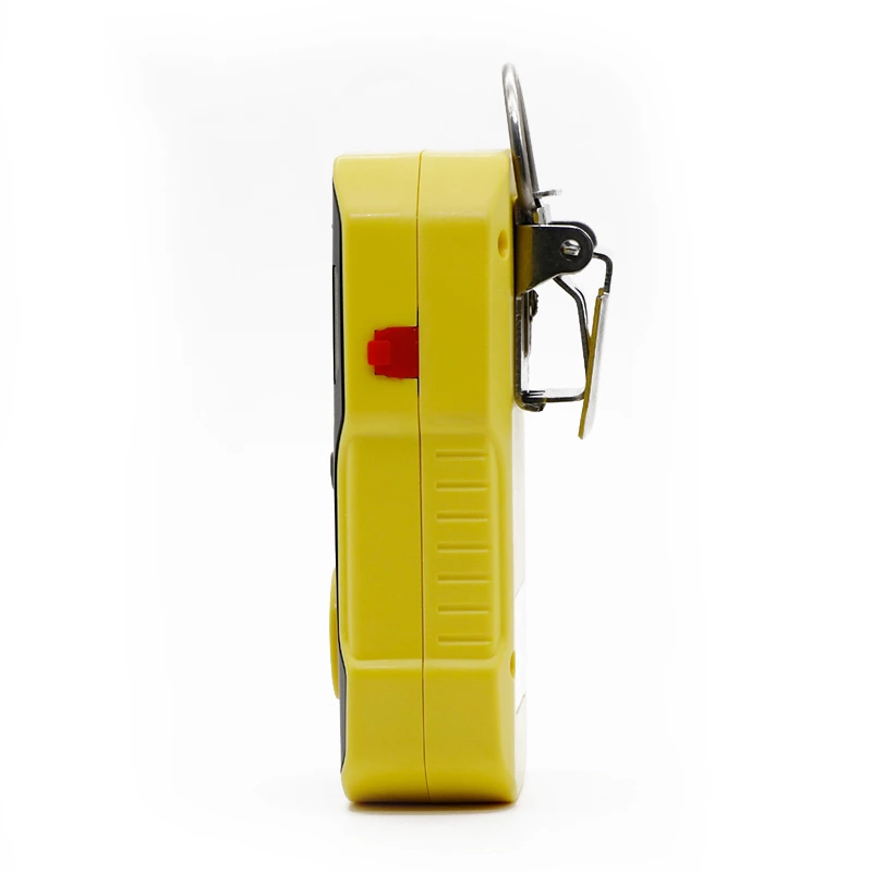 BH-90A Portable Single gas Detector for CO, H2S, O2 or Ex