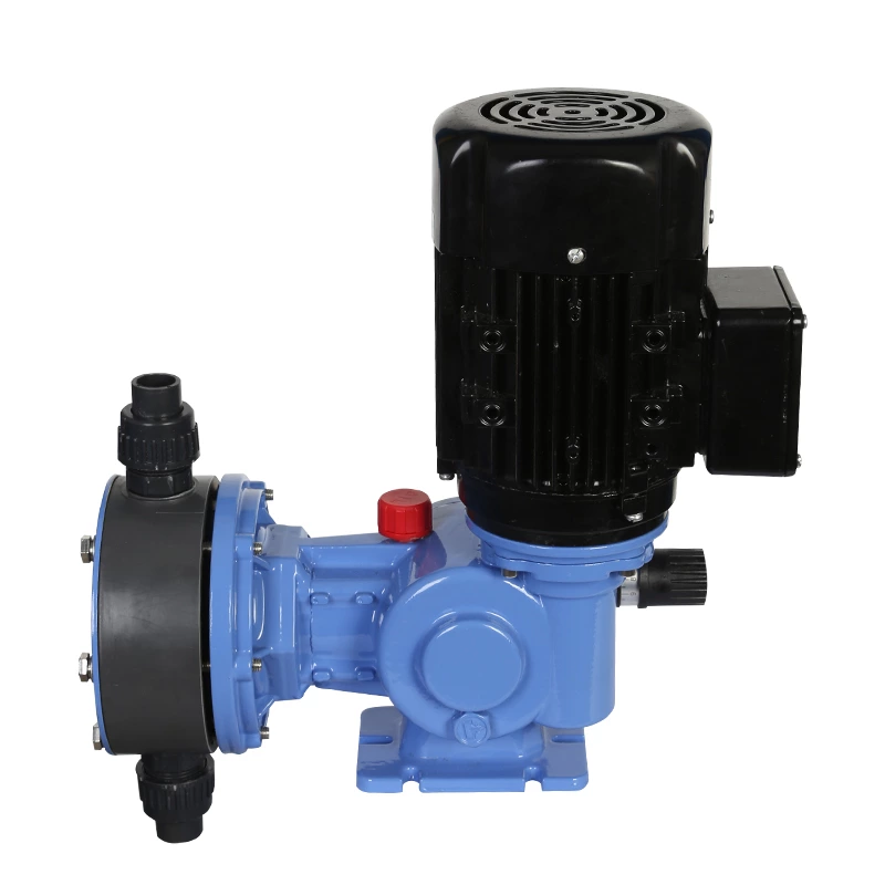 MS1 PLUNGER METERING PUMPS