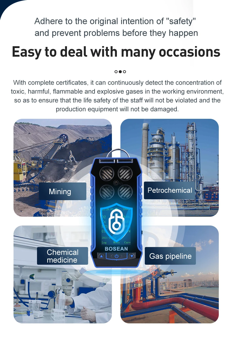 BH-4S Portable Multi-gas Detector