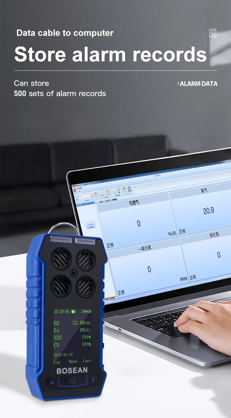 BH-4S Portable Multi-gas Detector