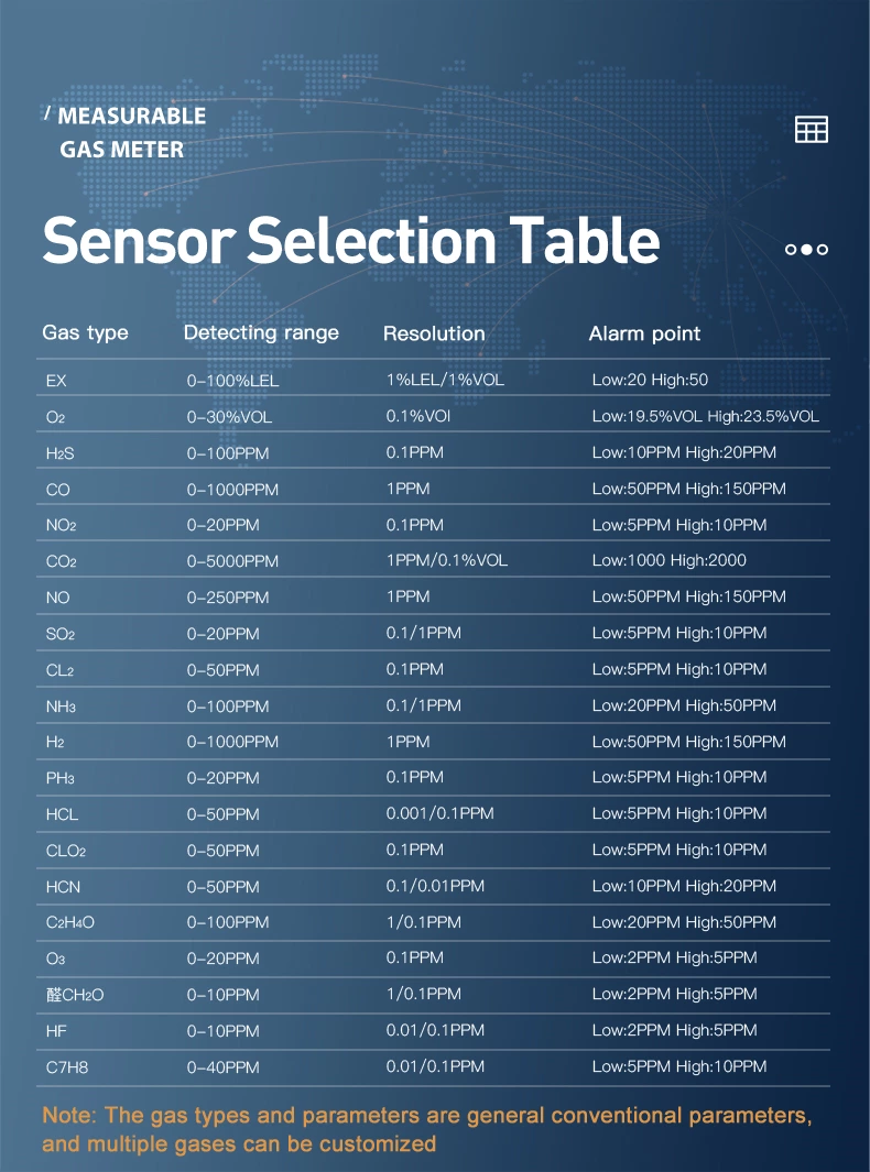 BH-4S Portable Multi-gas Detector
