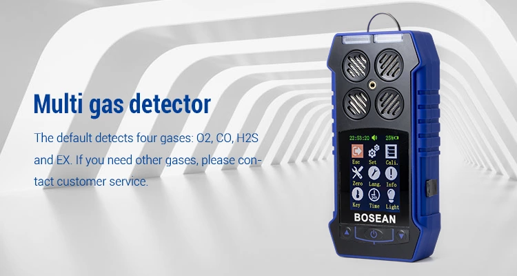 BH-4S Portable Multi-gas Detector