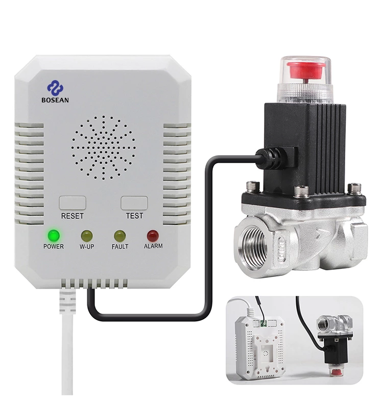 BH-H3 Gas Alarm