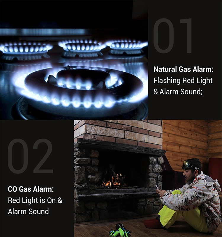 BH-H3 Gas Alarm